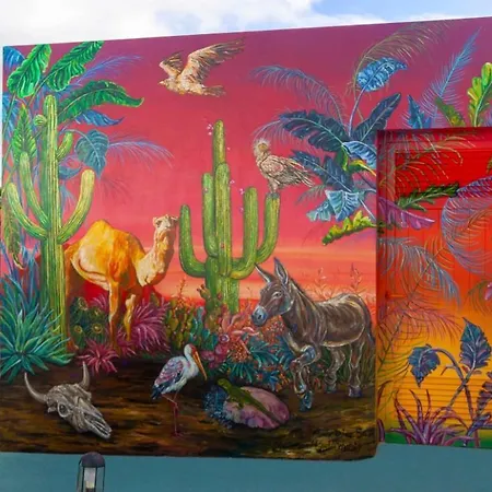 兰萨罗特鹦鹉螺公寓式酒店 卡门港